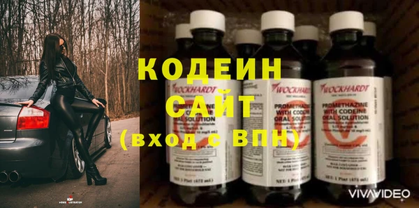 эйфоретик Алзамай